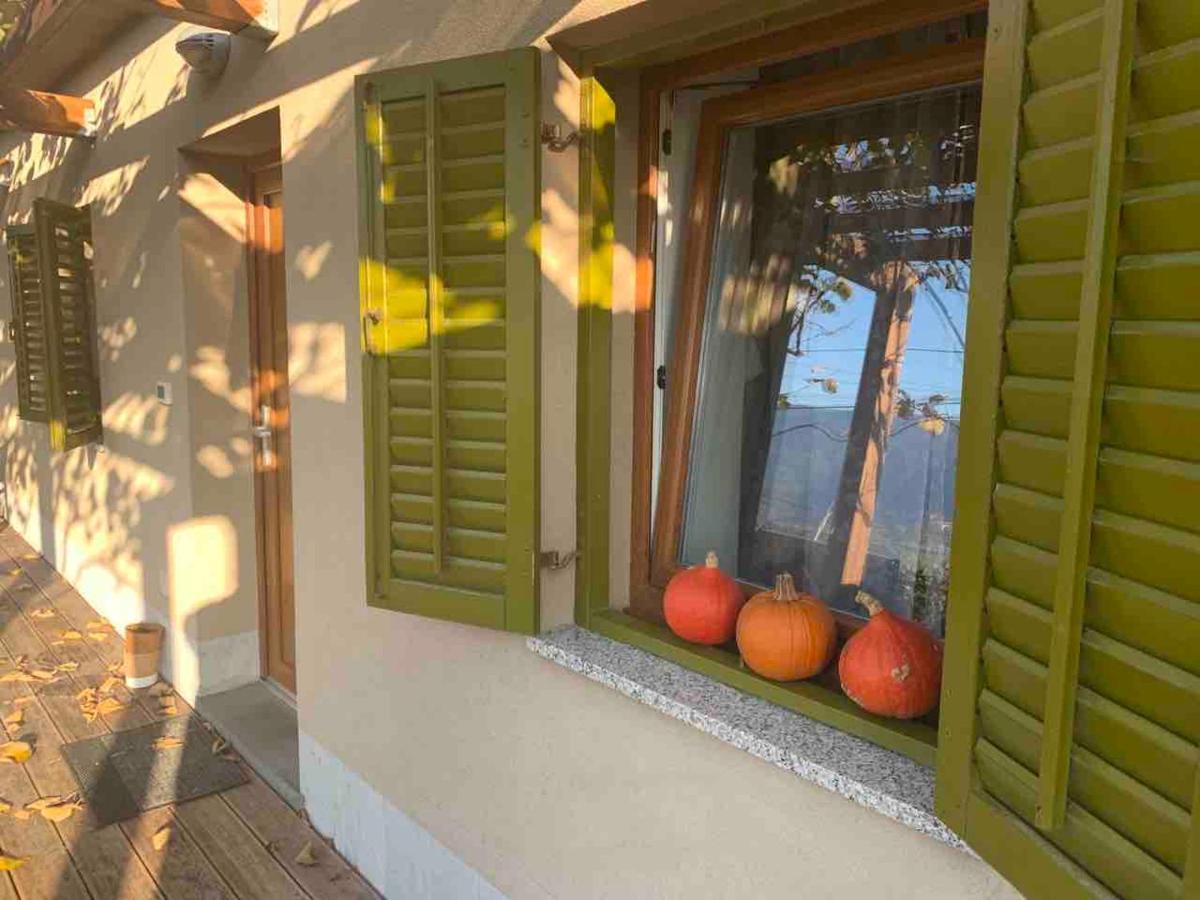 Istrska Hisa Centurium Holiday home Marezige