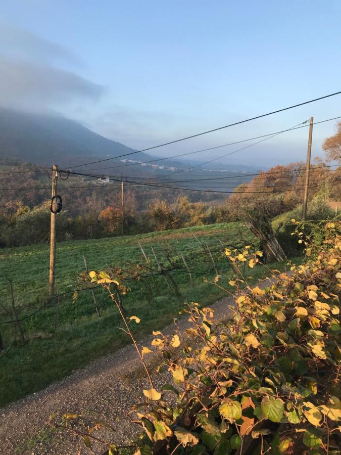 Istrska Hisa Centurium Holiday home Marezige