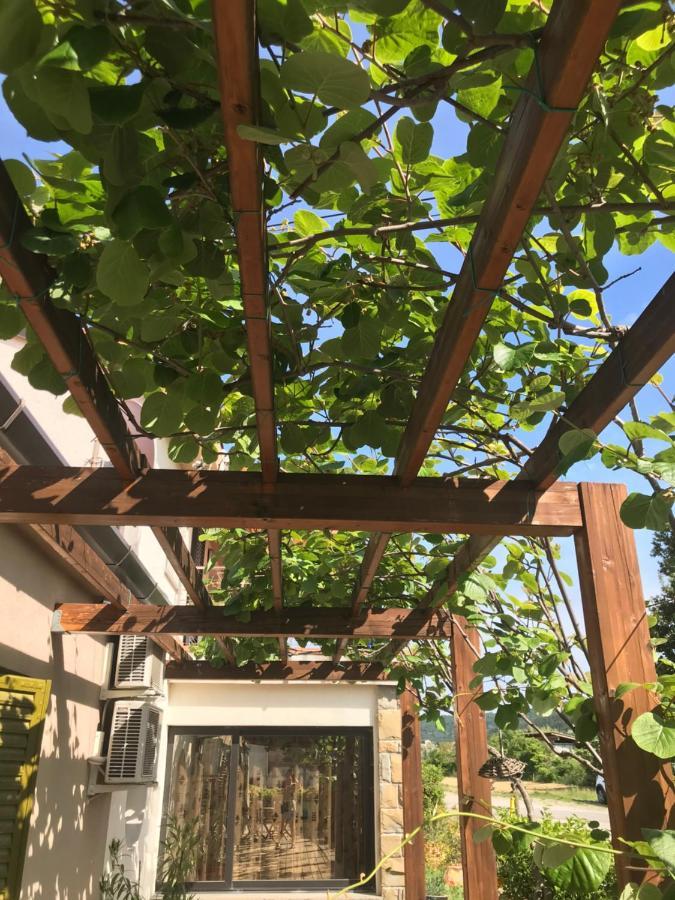 Holiday home Istrska Hisa Centurium *